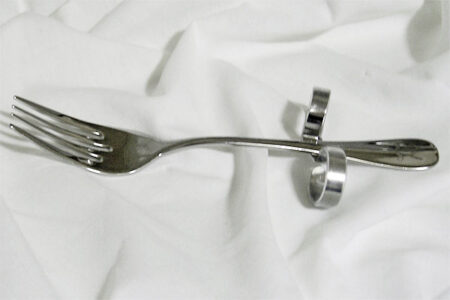 Adaptive Fork from Dining with Dignity